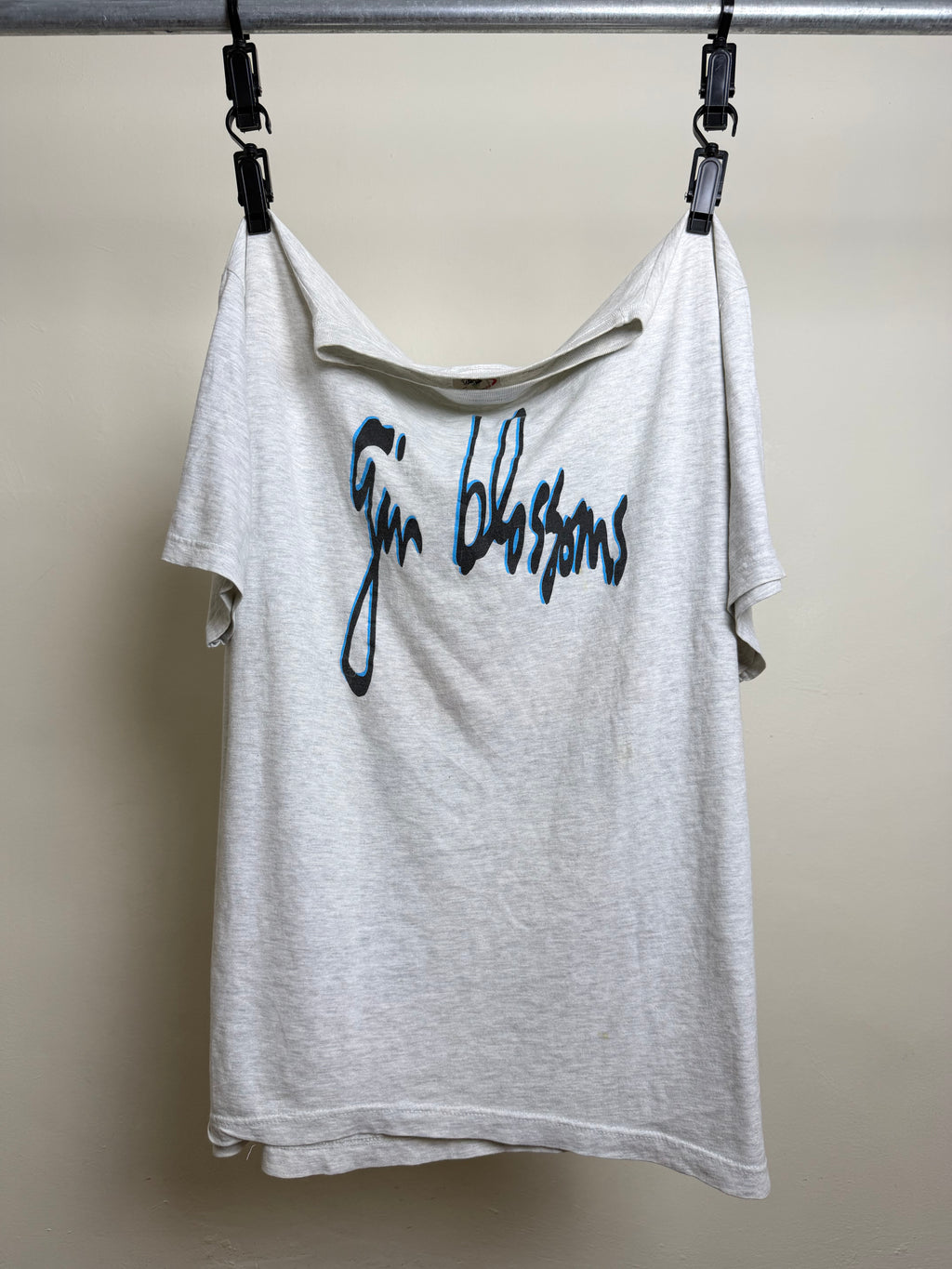 1994 Gin Blossoms "Your Party Sucks"