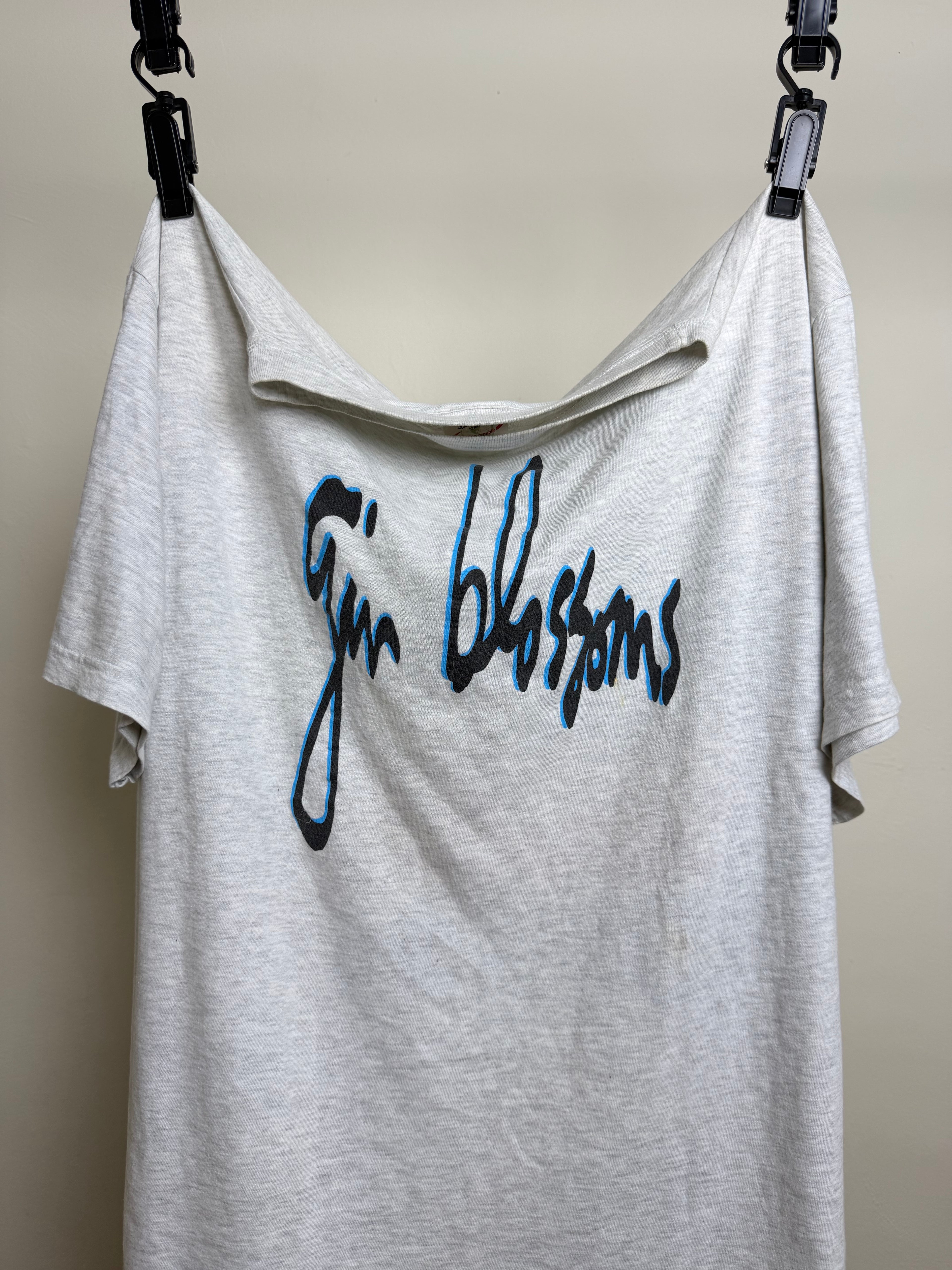 1994 Gin Blossoms "Your Party Sucks"